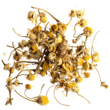 T2 Just Chamomile Herbal Tea in Sachet