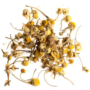 T2 Just Chamomile Herbal Tea in Sachet