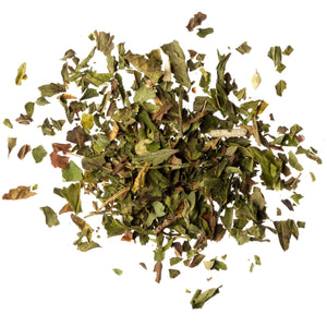 T2 Just Peppermint Herbal Tea in Sachet