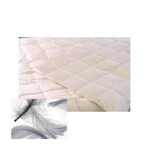 image (1)